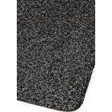 Kodiak kuramatto carbon