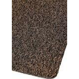 Kodiak kuramatto ruskea