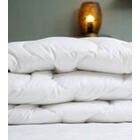 Lennol Celeste peitto valkoinen 150x200 cm