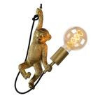 Lucide Chimp apina riippuvalaisin musta-kulta