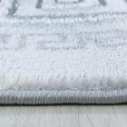 Naxos 3818 plyysimatto silver