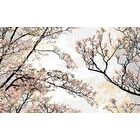 Vallila Hurmos sivuverho 140x250 cm beige