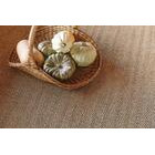 VM Carpet Barrakuda sisalmatto olki